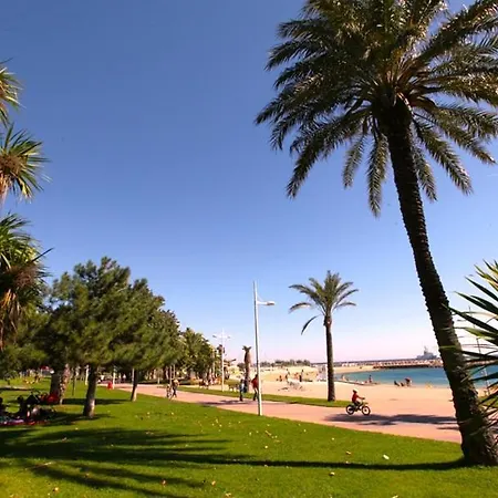 Grand Appartement, 4 Au Coeur Du Mourillon * Toulon